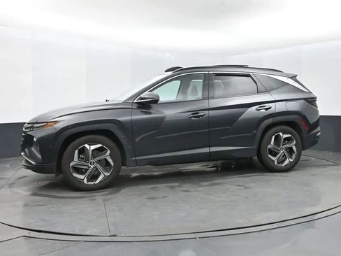 Used 2024 Hyundai Tucson Limited image 5
