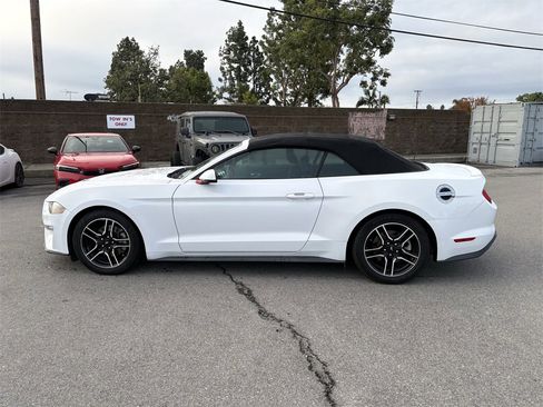 Used 2020 Ford Mustang Premium image 2