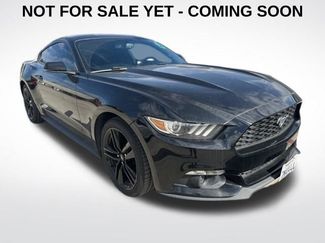 Used 2015 Ford Mustang Premium w/ Ecoboost Performance Package 360° Tour