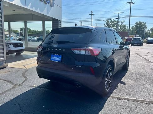 Used 2022 Ford Escape SE w/ SE Sport Appearance Package AWD/4WD image 4