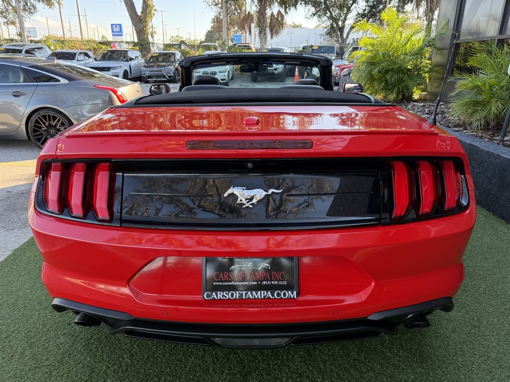 Used 2019 Ford Mustang Convertible RWD image 5