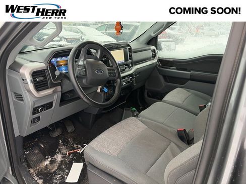 Used 2023 Ford F150 XLT w/ Equipment Group 301A Mid image 5