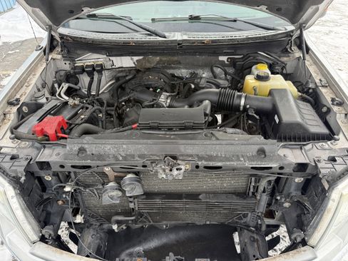 Used 2014 Ford F150 XLT w/ Equipment Group 301A Mid image 34