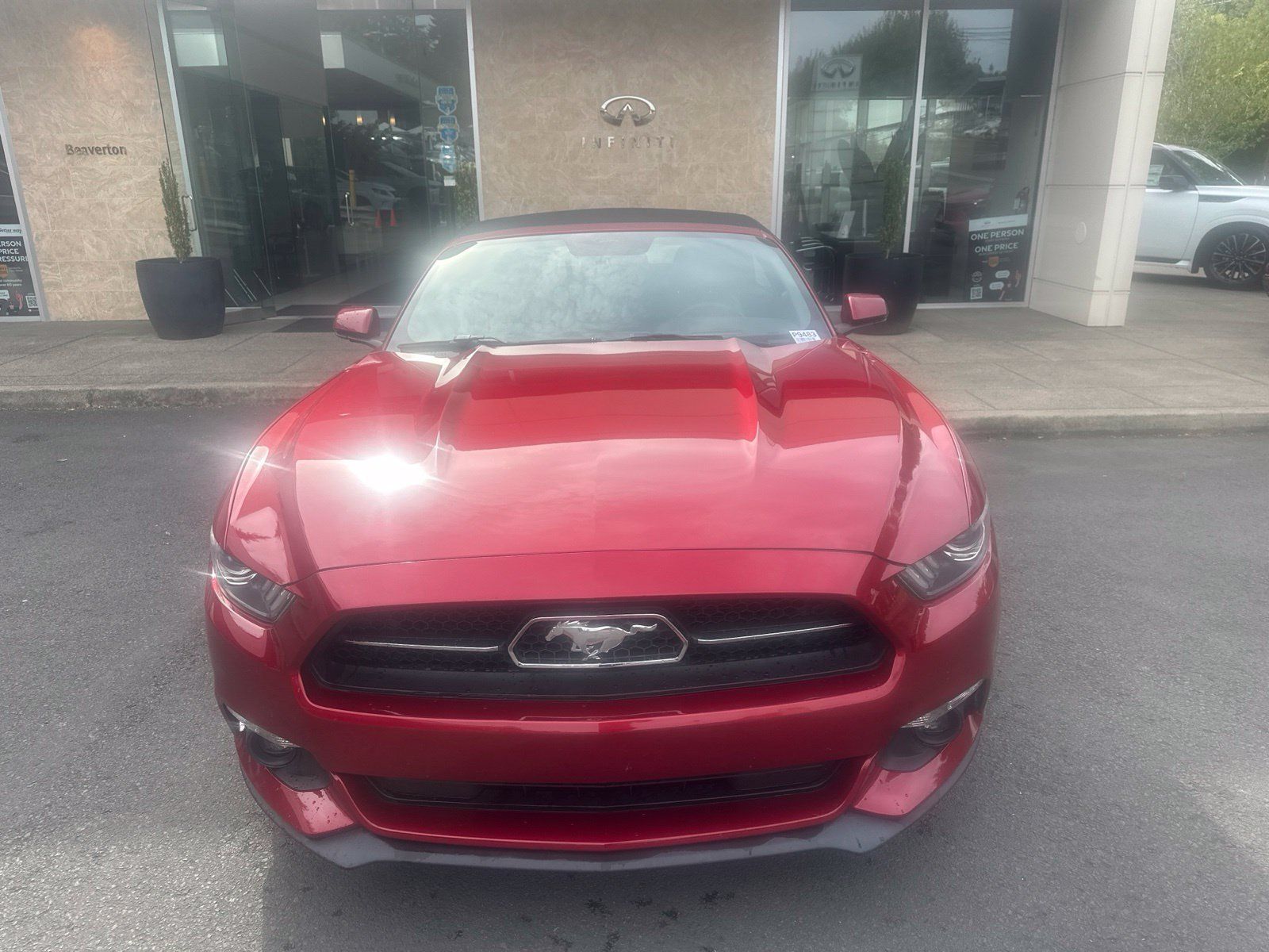 Used 2015 Ford Mustang Premium w/ Equipment Group 201A RWD image 8
