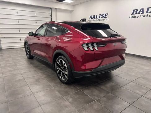 Used 2025 Ford Mustang Mach-E Select w/ Interior Protection Package AWD/4WD image 5