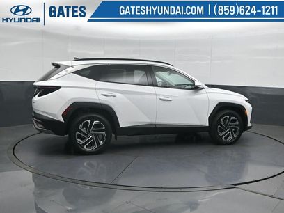 New 2026 Hyundai Tucson Limited