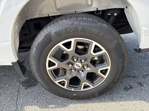 Used 2024 Ford F150 STX RWD image 18