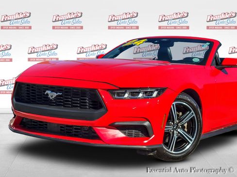 Used 2024 Ford Mustang Premium image 2