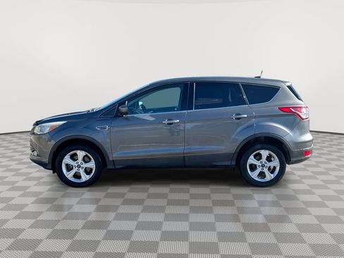 Used 2014 Ford Escape SE image 5