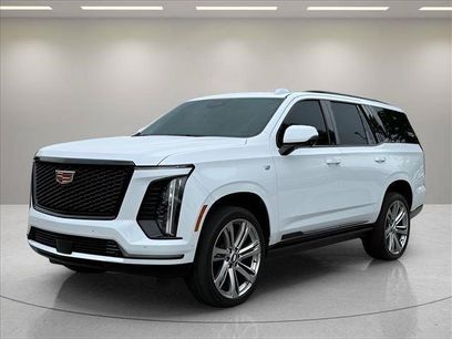 Used 2026 Cadillac Escalade Platinum Sport