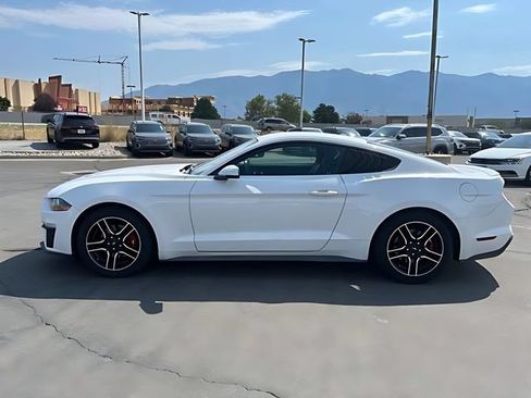 Used 2018 Ford Mustang Premium w/ Equipment Group 201A RWD image 6