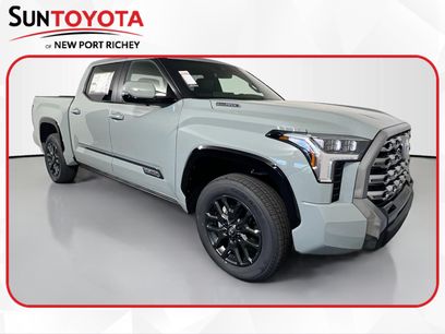 New 2026 Toyota Tundra Platinum