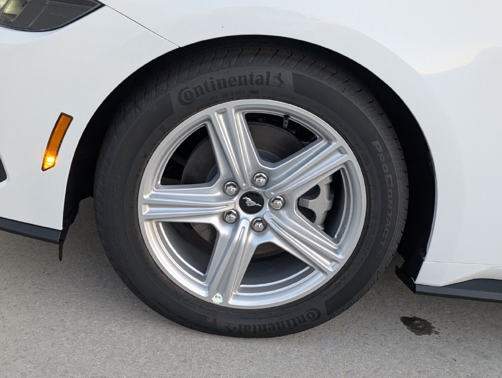 New 2026 Ford Mustang Premium RWD image 4