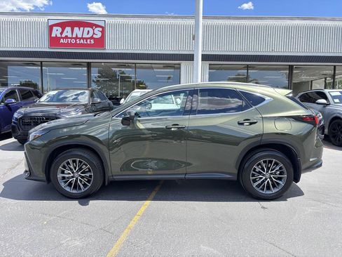 Used 2025 Lexus NX 350h AWD w/ Cold Area Package image 15