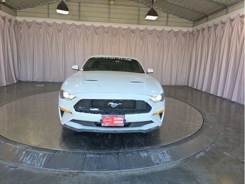 Used 2018 Ford Mustang Coupe w/ Ecoboost Performance Package image 5