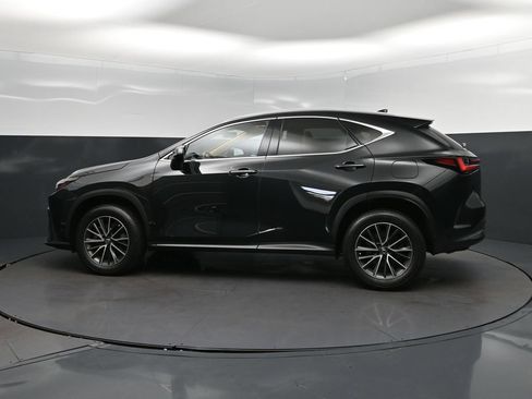 Certified 2024 Lexus NX 350 AWD image 4