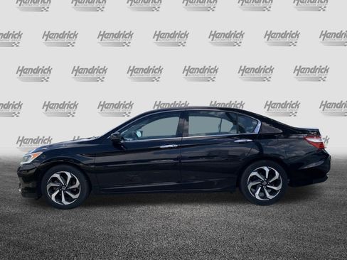 Used 2017 Honda Accord EX-L image 7