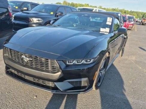Used 2025 Ford Mustang Premium RWD image 1