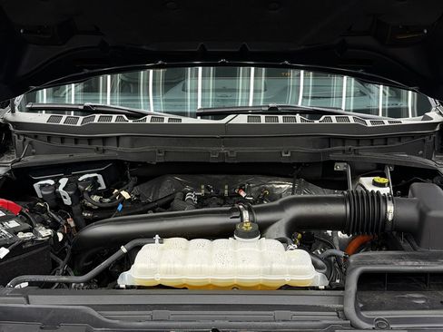 Used 2025 Ford F150 Tremor w/ Equipment Group 402A High AWD/4WD image 19