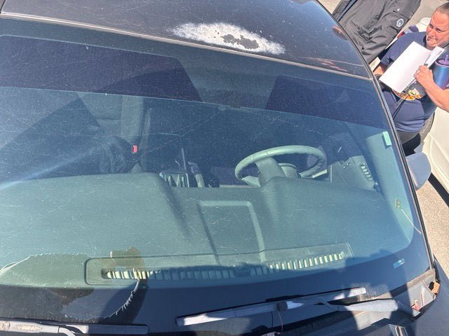 Used 2012 Ford Mustang Coupe RWD image 10