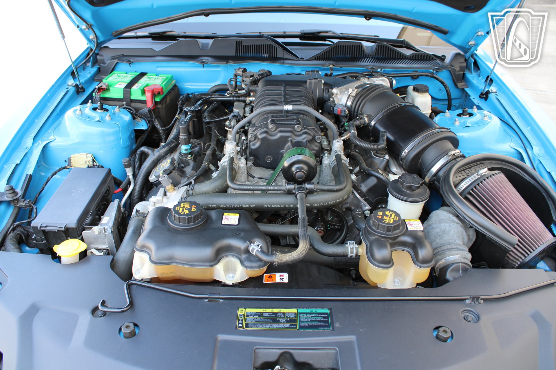 Used 2010 Ford Mustang Shelby GT500 RWD image 5