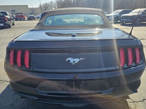 Used 2022 Ford Mustang Premium image 4