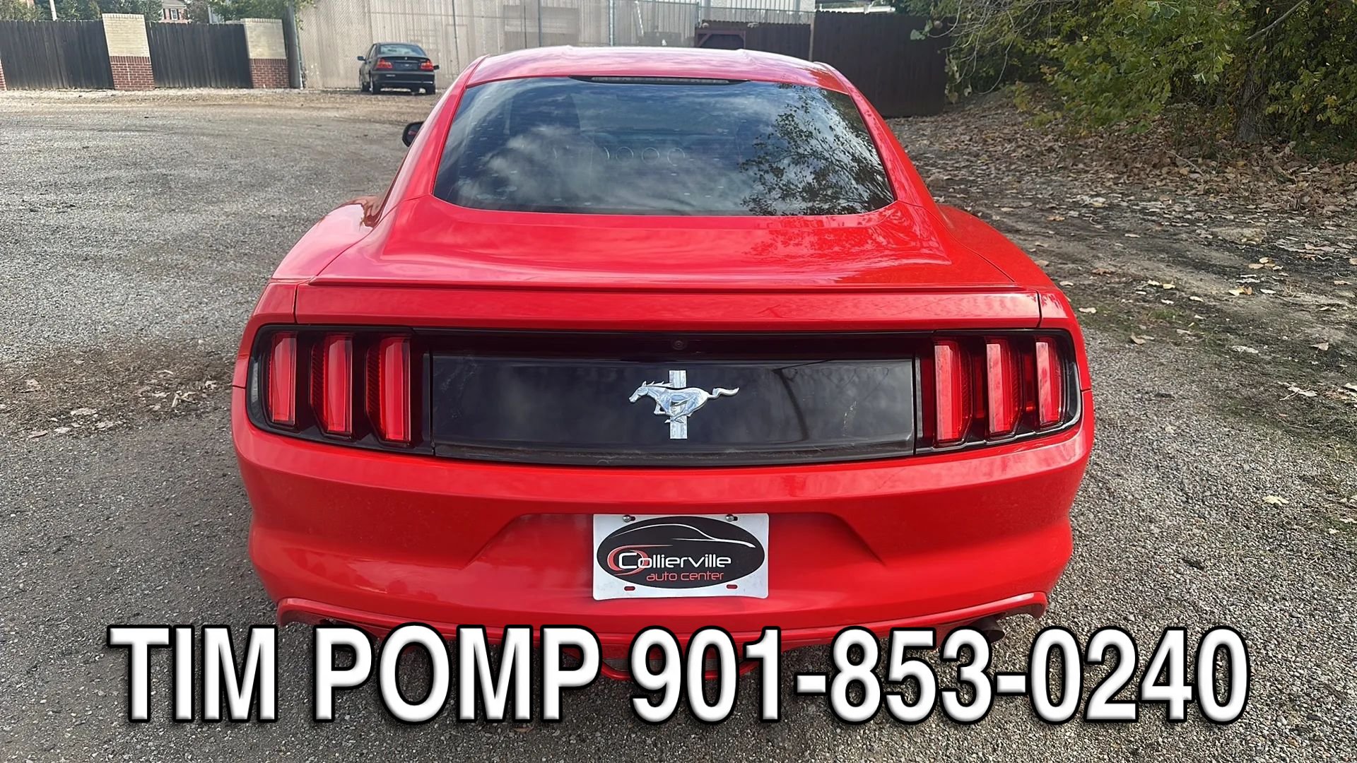 Used 2015 Ford Mustang Coupe w/ Equipment Group 051A RWD image 4