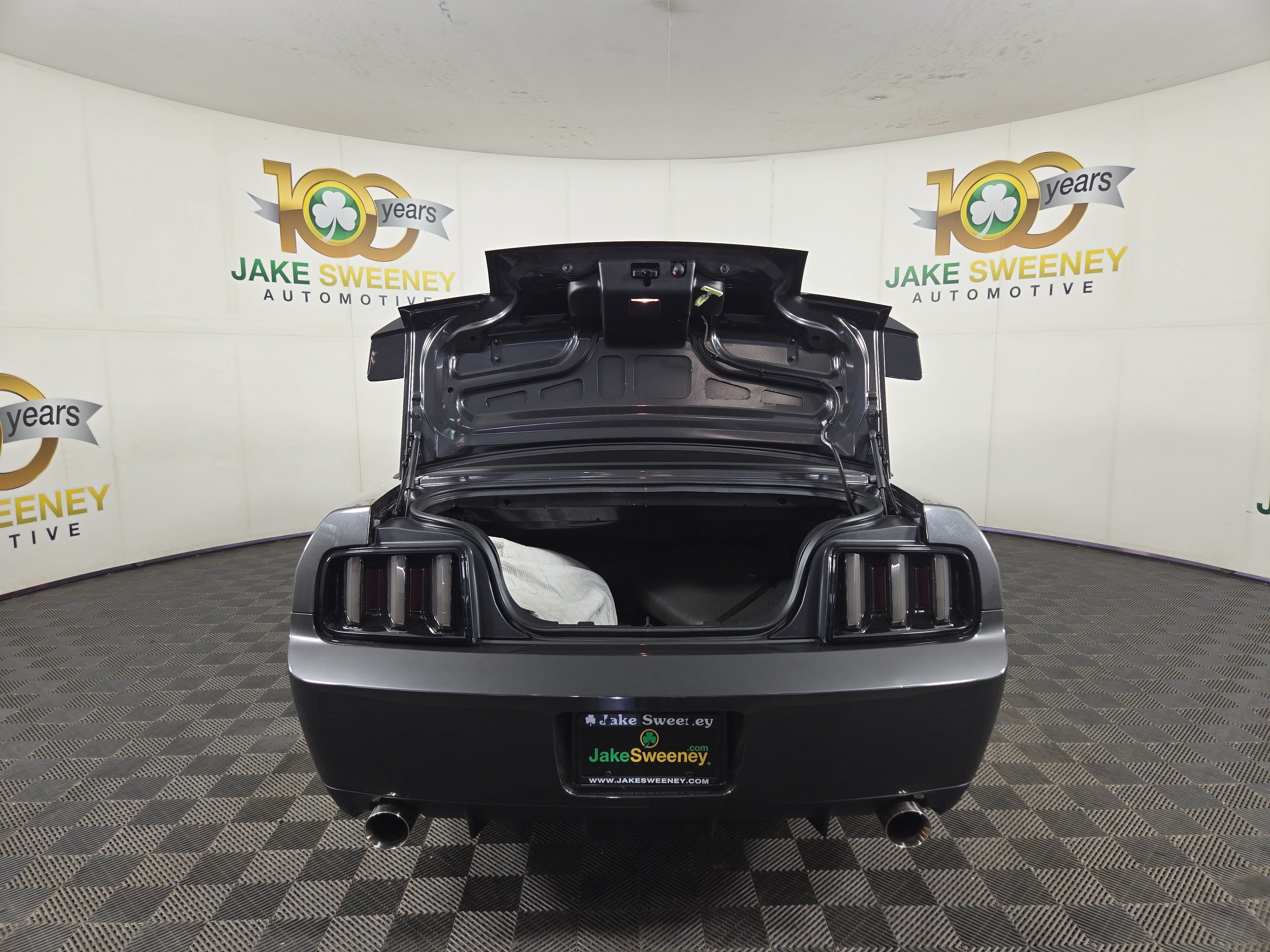 Used 2007 Ford Mustang Shelby GT500 RWD image 30