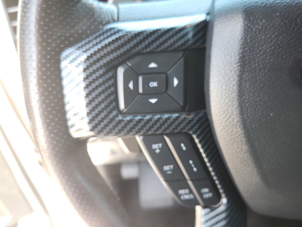 Used 2018 Ford F150 Raptor w/ Equipment Group 802A Luxury AWD/4WD image 23