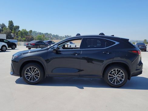 Certified 2025 Lexus NX 350h AWD w/ Cold Area Package image 2
