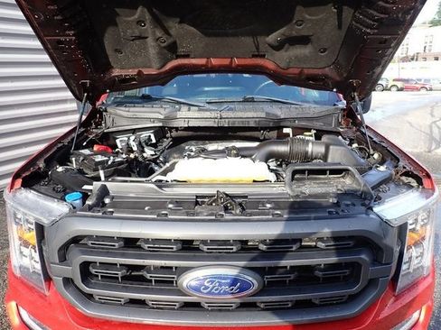 Used 2023 Ford F150 XLT w/ Equipment Group 302A High AWD/4WD image 17