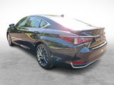 Certified 2024 Lexus ES 300h w/ Luxury Package image 4