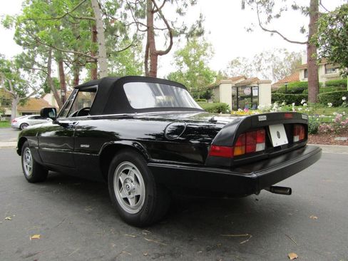 Used 1987 Alfa Romeo Spider Veloce image 6