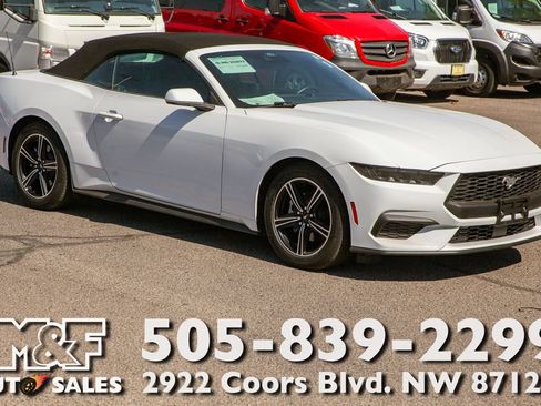 Used 2025 Ford Mustang Convertible RWD image 1