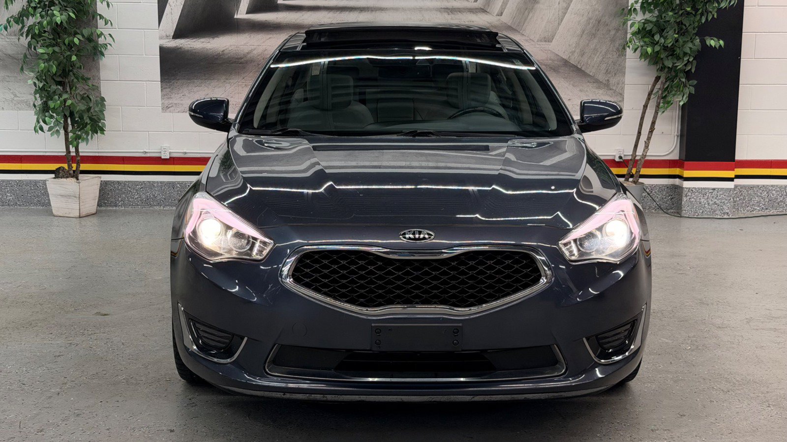 Used 2014 Kia Cadenza Limited FWD image 2