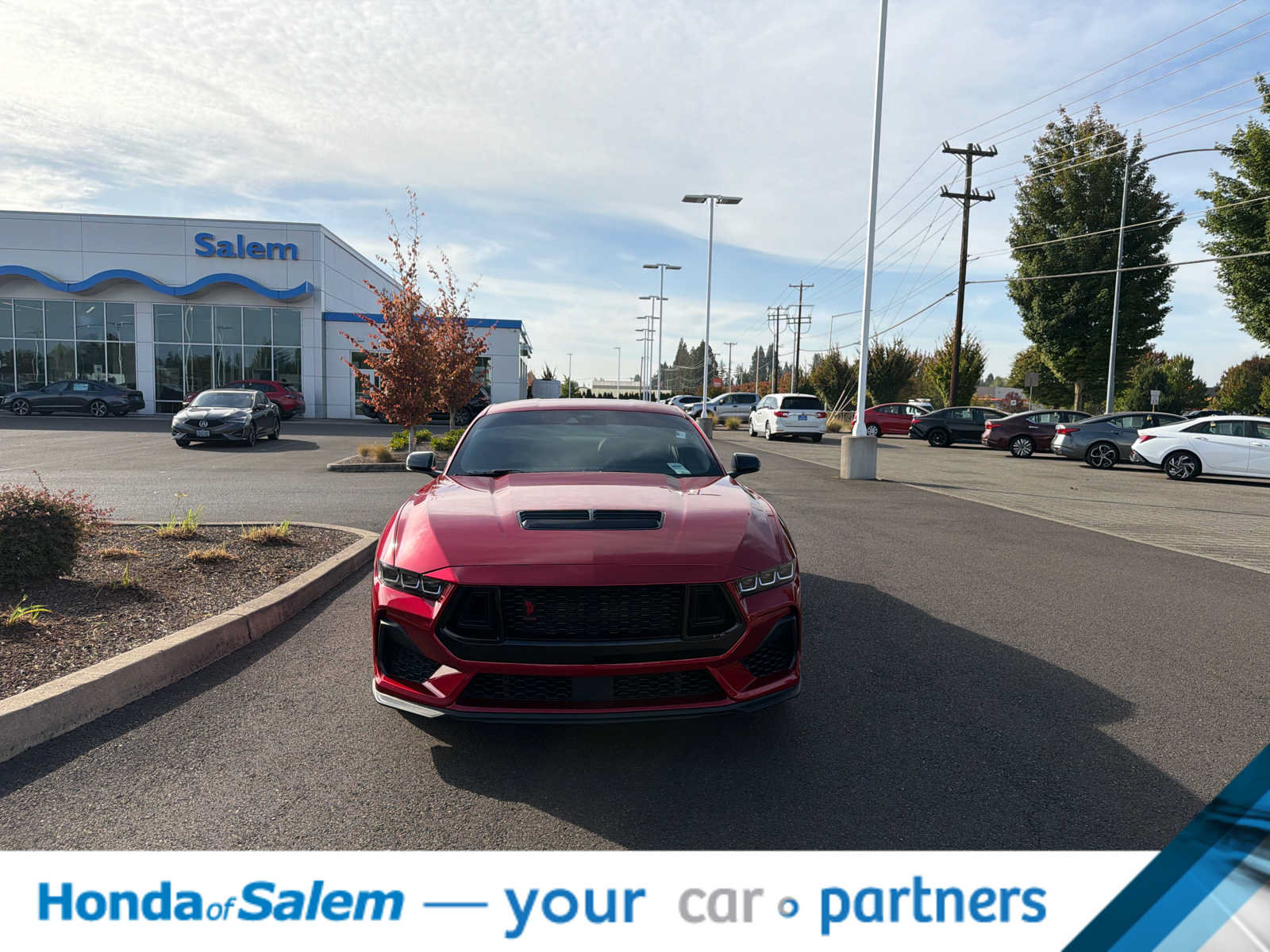 Used 2024 Ford Mustang GT Premium w/ GT Performance Package RWD image 6
