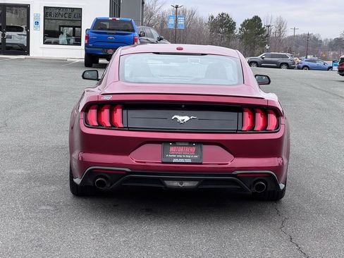 Used 2019 Ford Mustang Premium w/ Equipment Group 201A image 4