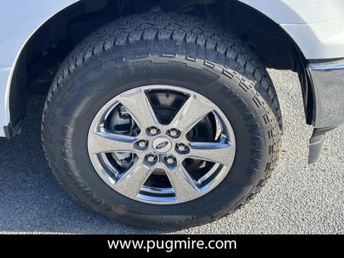 Used 2019 Ford F150 XLT w/ Equipment Group 302A Luxury image 12