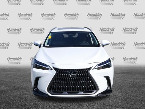 Used 2026 Lexus NX 350 AWD w/ Cold Area Package image 3
