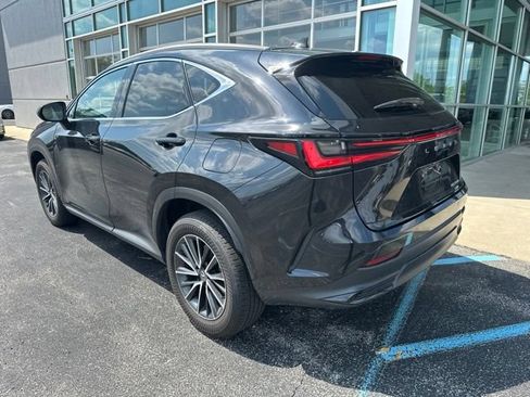 Used 2025 Lexus NX 350h AWD w/ Cold Area Package image 4