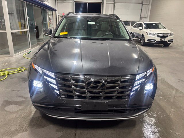 Used 2023 Hyundai Tucson Limited AWD/4WD image 2