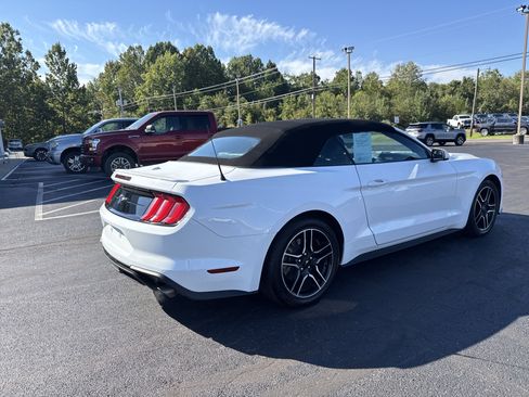 Used 2023 Ford Mustang Premium image 3