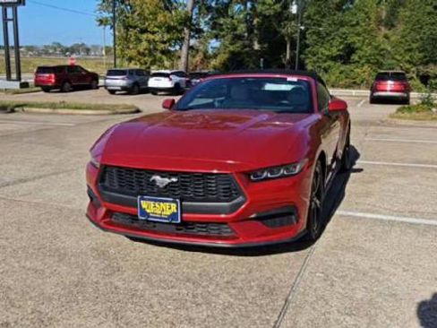 Used 2024 Ford Mustang Premium image 2