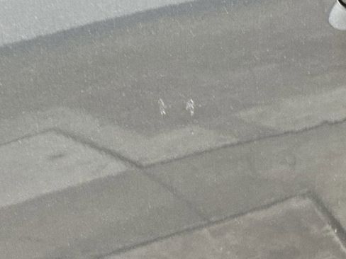 Used 2016 Ford F150 XLT w/ Equipment Group 302A Luxury image 32