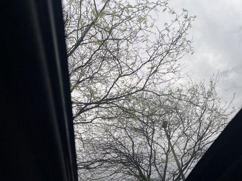 Used 2021 Subaru WRX STI Limited w/ Popular Package #3 (IZT) image 16