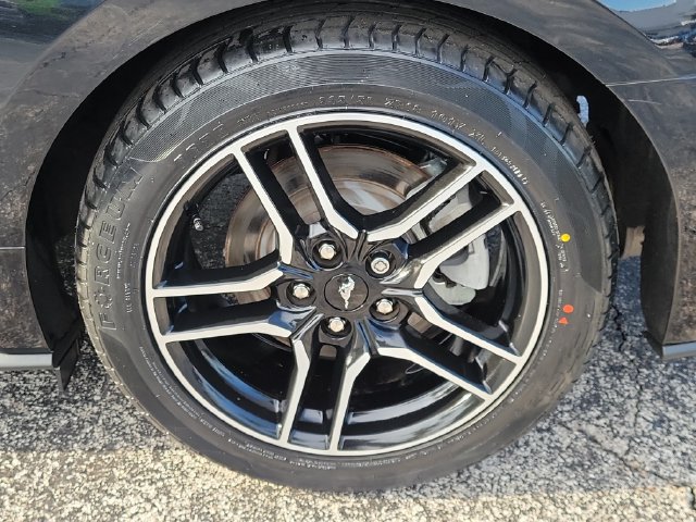 Used 2022 Ford Mustang Premium RWD image 6
