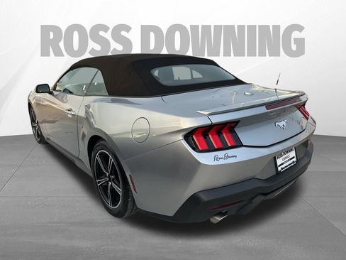 Used 2024 Ford Mustang Premium image 6
