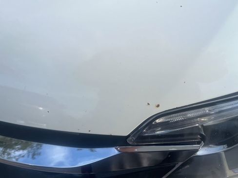 Used 2016 Honda CR-V Touring image 3