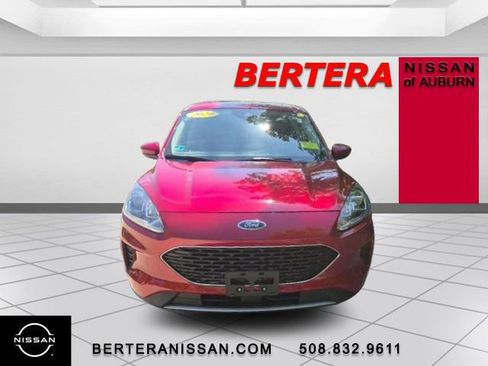 Used 2020 Ford Escape SE AWD/4WD image 3