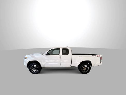 Used 2020 Toyota Tacoma TRD Sport w/ TRD Premium Sport Package AWD/4WD image 5